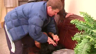 Грубые пацаны жестко изнасиловали худую красавицу в очко